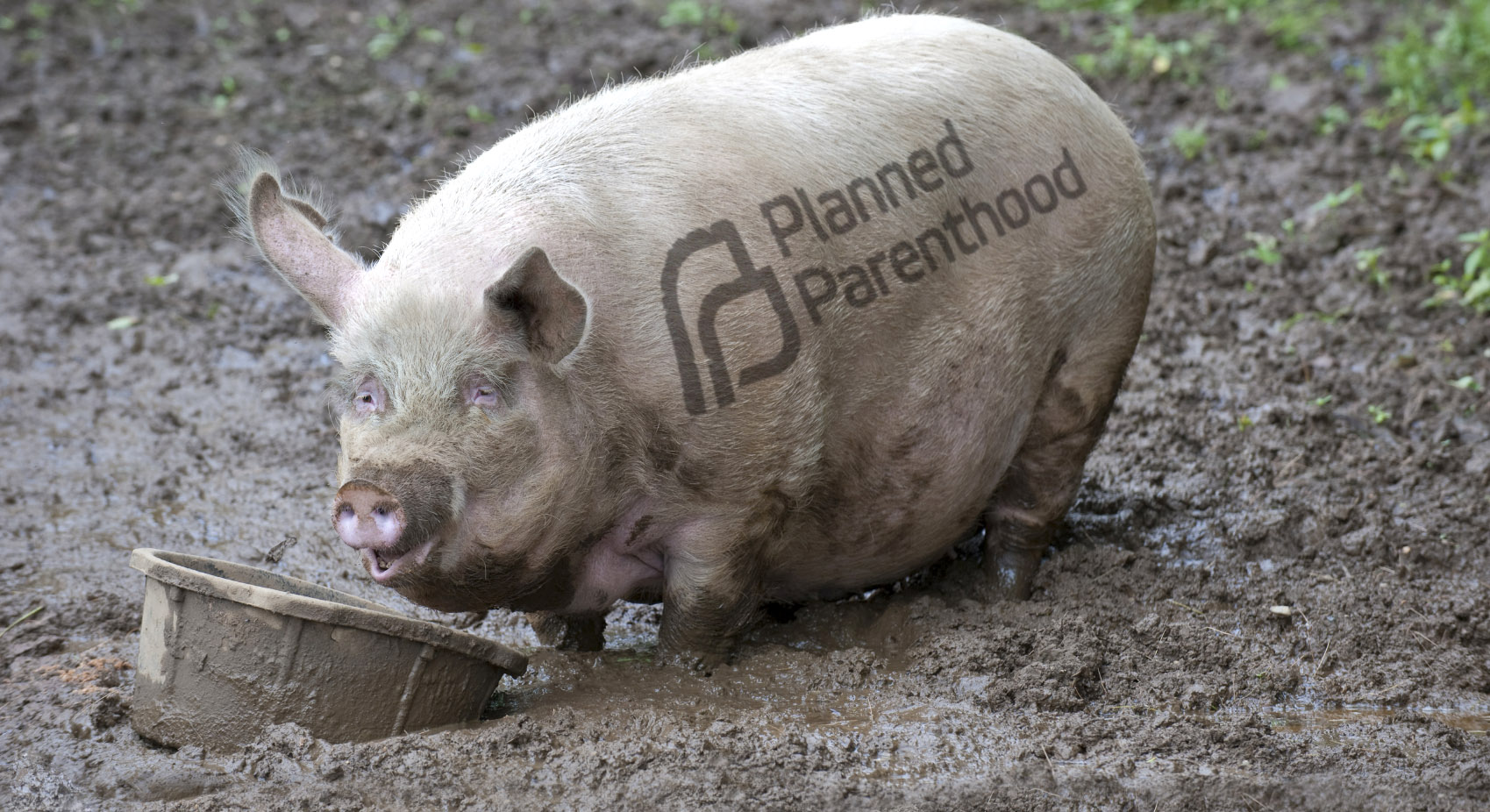 Planned Parenthood's not-so-new new year's resolution