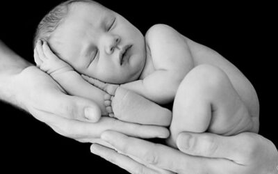 Creeping toward the Obvious