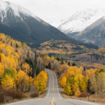 What You Can Do to Spread the Gospel of Life