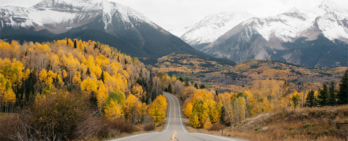 What You Can Do to Spread the Gospel of Life