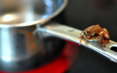 A Media Guilty of Conspiracy to Do Harm