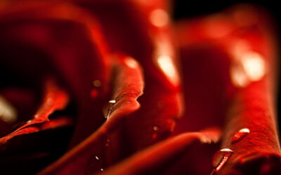 A Joyful Response to Dastardly Deeds