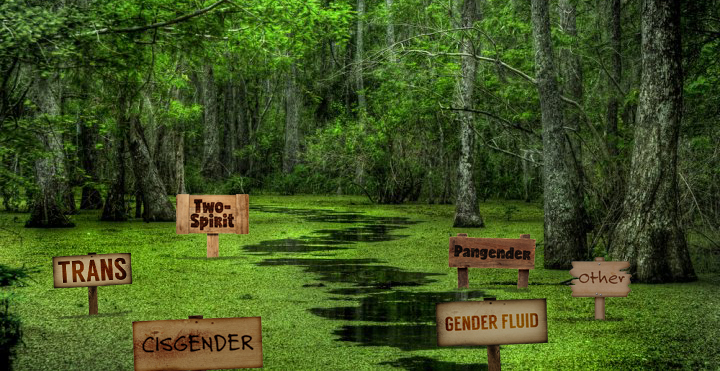 The Gender Swamp