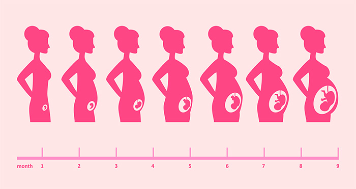 maternity