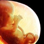 preborn