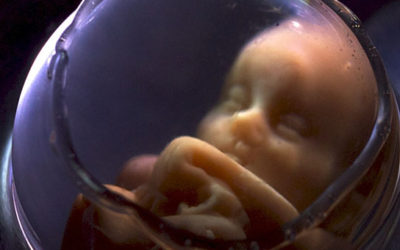 A Human Being Is a Person