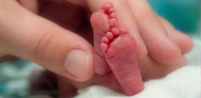Inspiring Poem Teaches about the Sanctity of Life