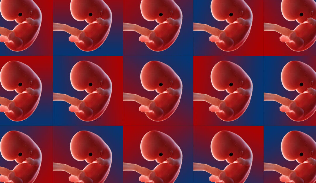 A Trace of His Glory