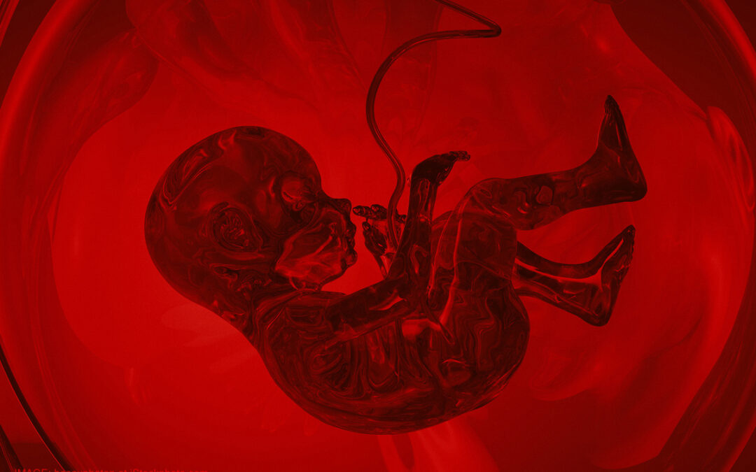 If Klusendorf Speaks for the Pro-Life Movement, We Want Nothing to Do with It