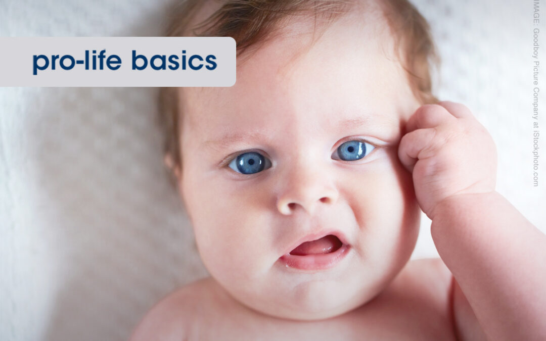PRO-LIFE BASICS: Why Doesn’t American Life League Support Exceptions?